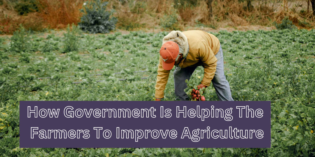 How Government Is Helping The Farmers To Improve Agriculture