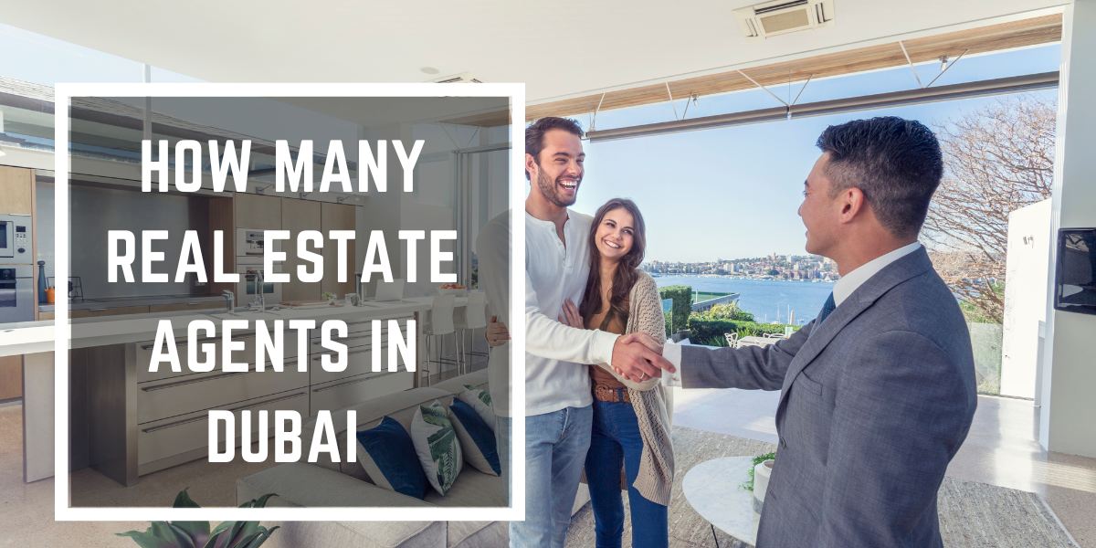 How Many Real Estate Agents In Dubai