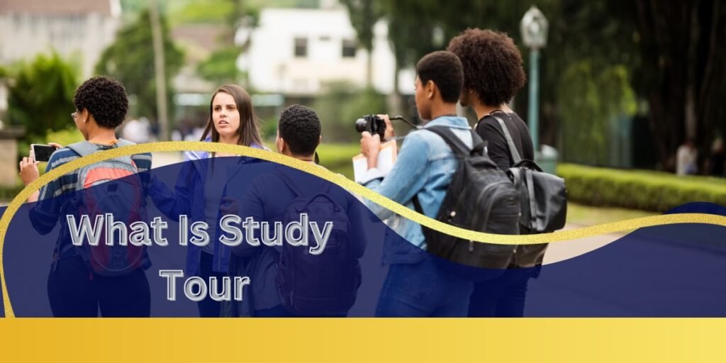 What Is Study Tour