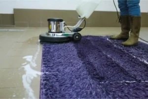 how to dry clean carpet at home