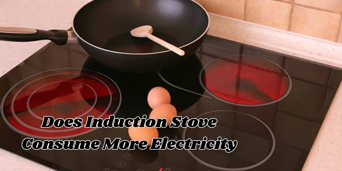 Does Induction Stove Consume More Electricity (1)
