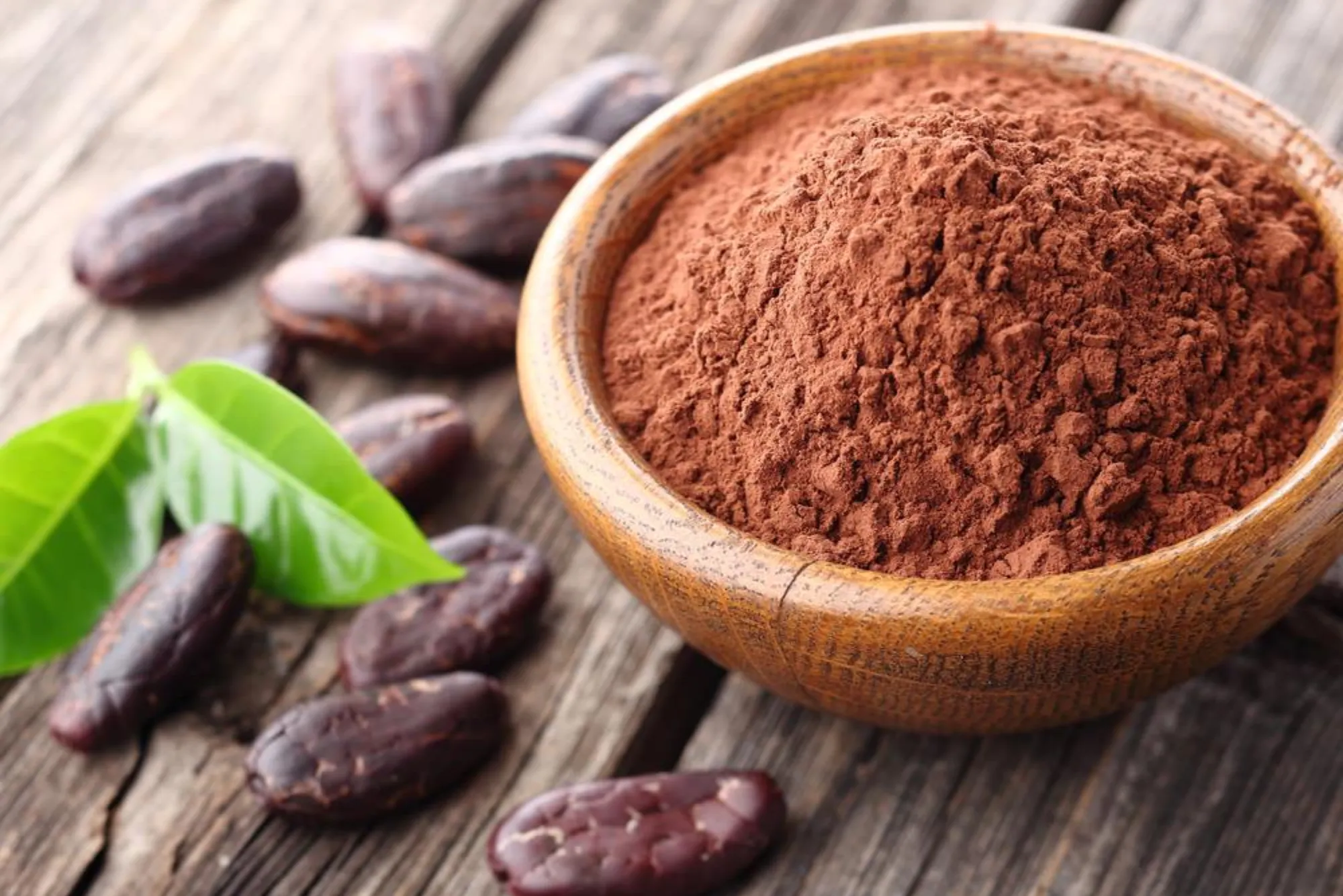 A Journey into the World of Cacao Powder