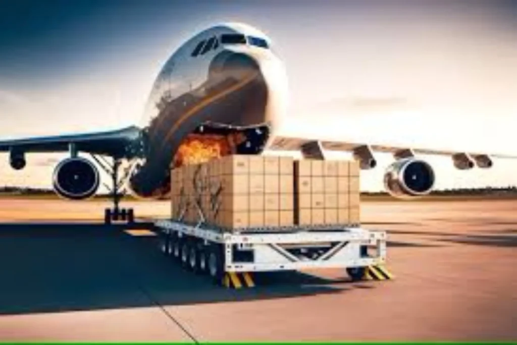Everything You Need to Know About Cargo to Kerala