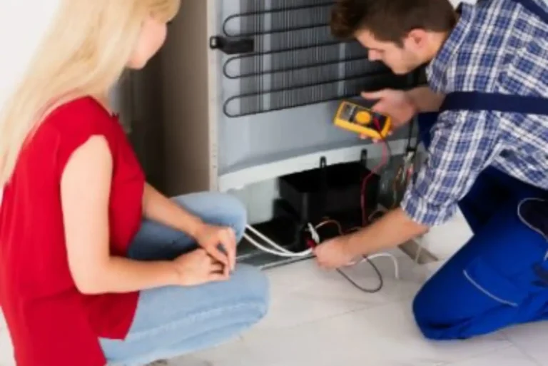 Fridge Repair