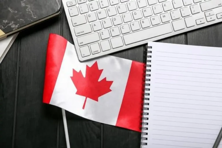 What to Expect from a Reliable Canada Education Consultant