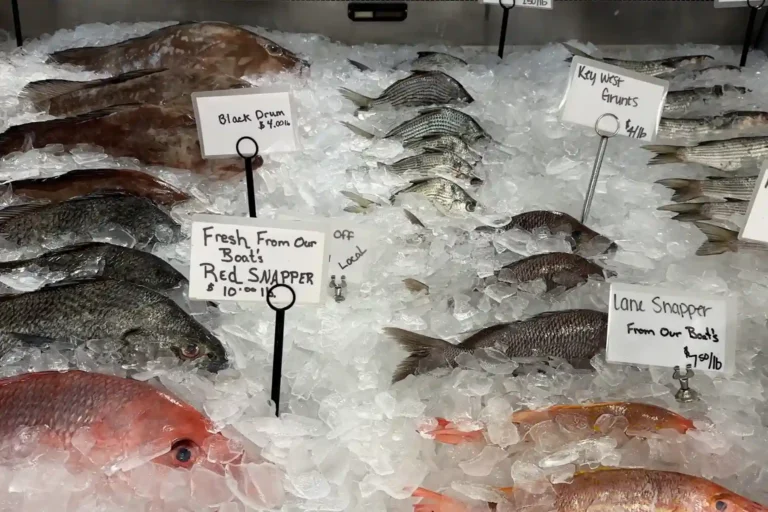 How to Buy in Bulk from United Fish Dubai and Save