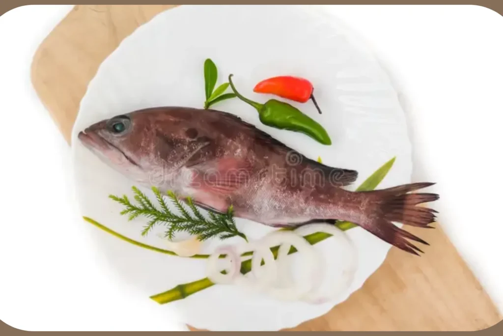 Beginners guide to hamour fish benefits UAE