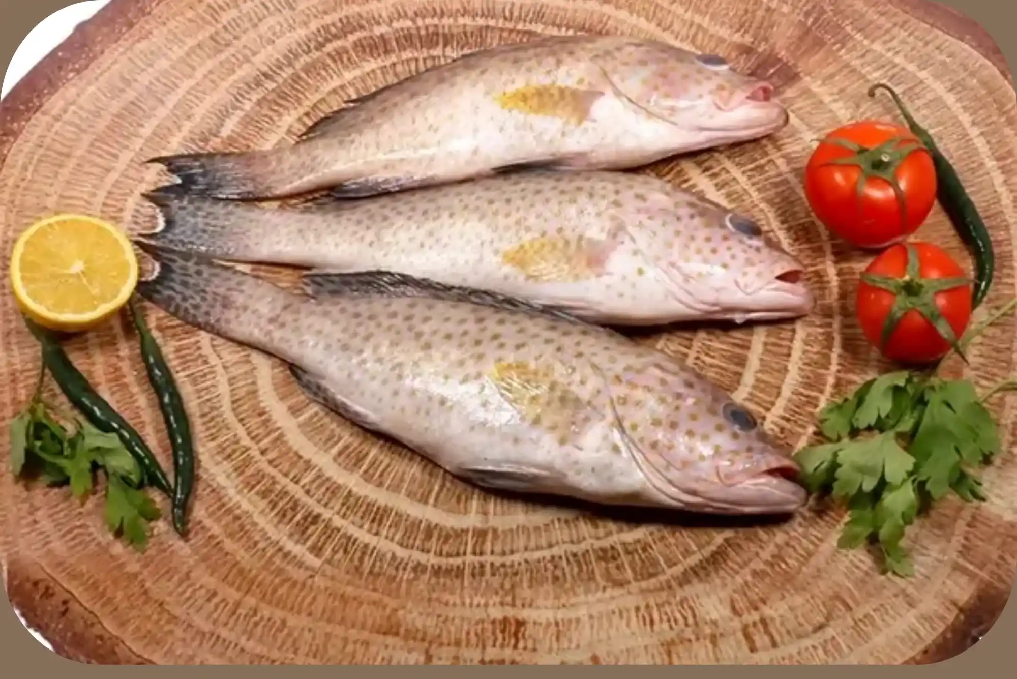 Expert tips on hamour fish benefits UAE Episode