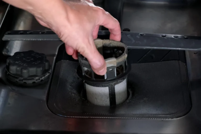 Dishwasher Clogged Filter Cleaning